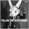 Follow the White Rabbit cover