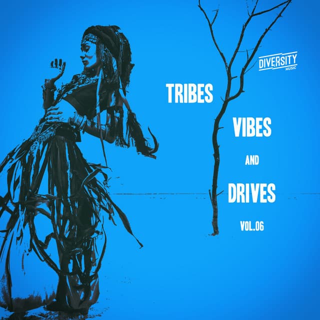 Cover Image of release - Tribes, Vibes and Drives, Vol.06