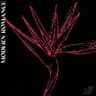 Modern Romance cover