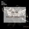 Raveincarnation cover