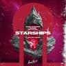 Starships (feat. Archer Adams) cover
