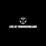 Meet Her At The Love Parade (Live at Tomorrowland) cover