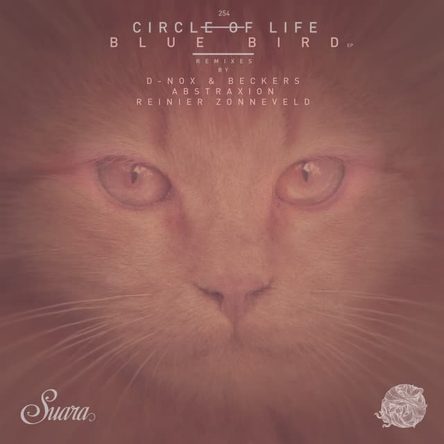 Cover Image of release - Blue Bird EP