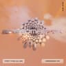 Teardrop FM cover