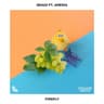 Firefly (feat. Ameria) cover