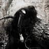 Ringtone of Death cover