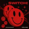 Switch cover