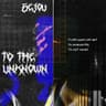 TO THE UNKNOWN cover