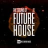 The Sound Of Future House, Vol. 10 cover