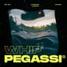 Whip cover