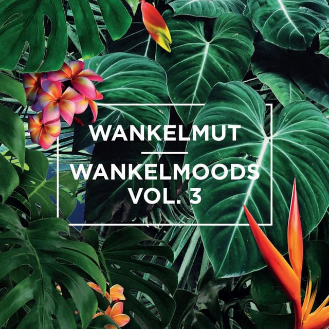 Cover Image of release - Wankelmoods, Vol. 3