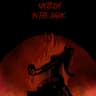 In The Dark cover