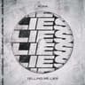 Telling Me Lies cover