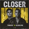 Closer cover