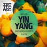 Yin Yang cover