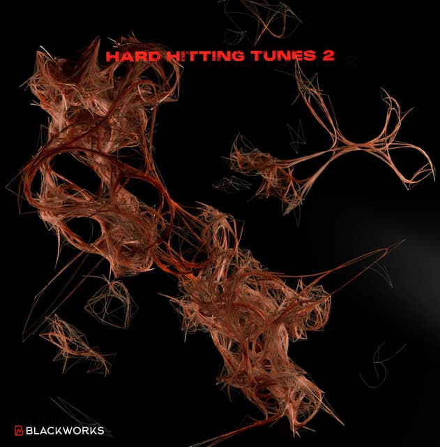 Cover Image of release - Hard Hitting Tunes 2