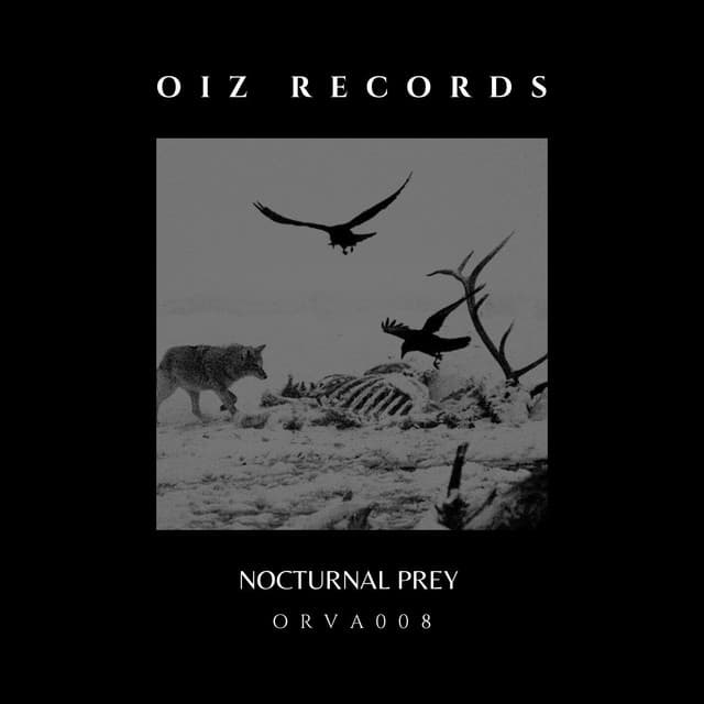 Cover Image of release - NOCTURNAL PREY