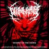 BEAUTY OF THE CHAOS cover