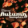 Nite Grooves Autumn Sampler EP cover