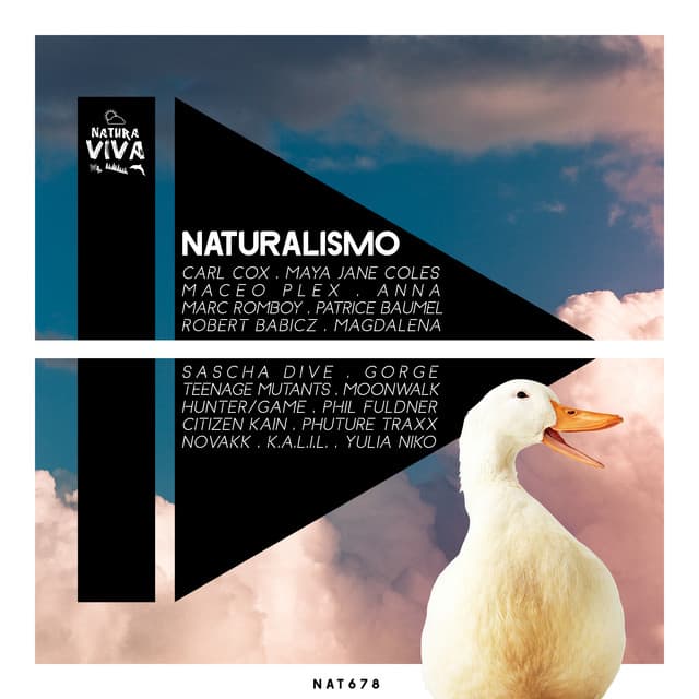 Cover Image of release - Naturalismo