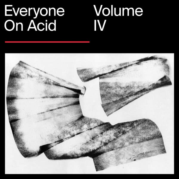 Cover Image of release - Everyone On Acid: Volume 4