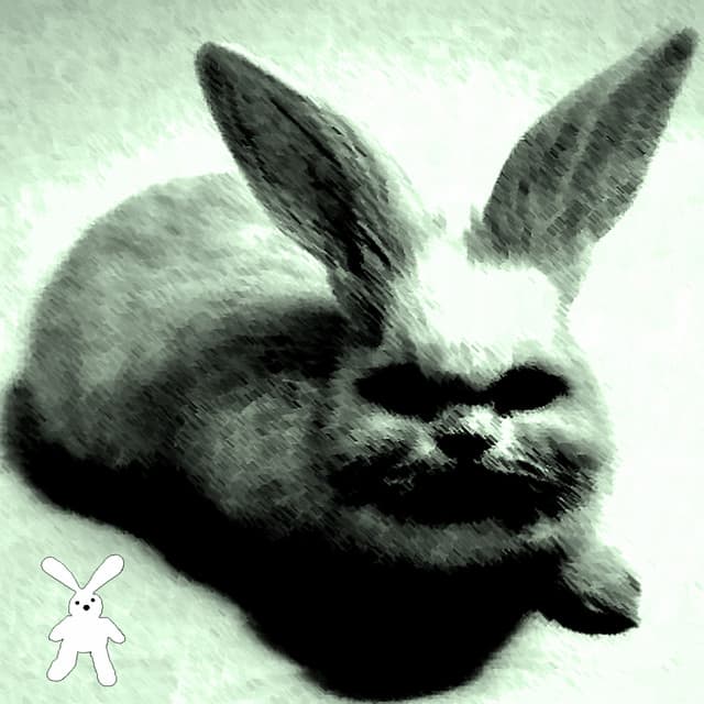 Cover Image of release - Touch