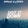 Shut It Down cover