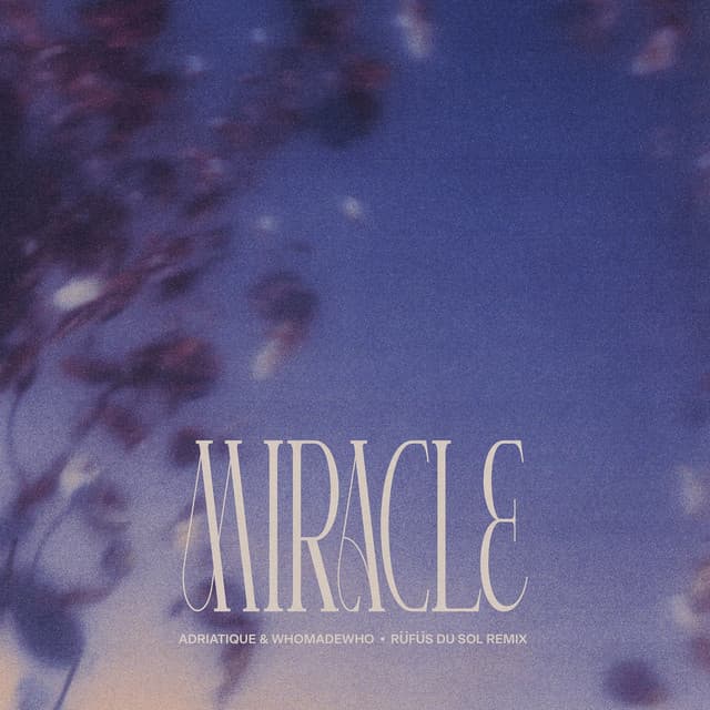 Cover Image of release - Miracle - RÜFÜS DU SOL Remix