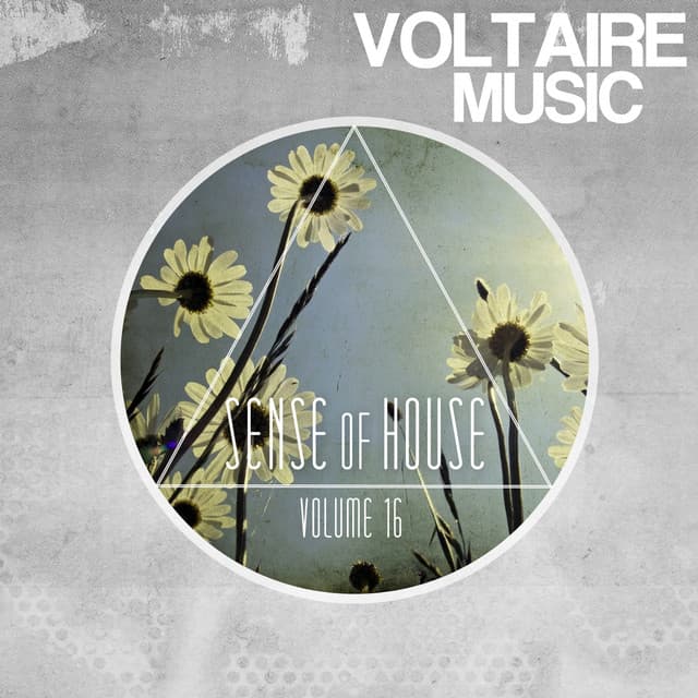 Cover Image of release - Sense of House, Vol. 16