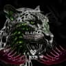 Iliria cover