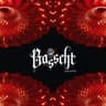 BSSHT30 cover