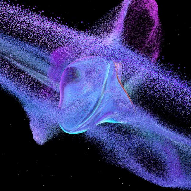 Cover Image of release - Siamese Anthology VIII