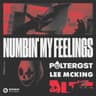 Numbin' My Feelings (Extended Mix) cover