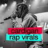Cardigan - Rap Virals cover