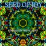 Seed of Joy cover