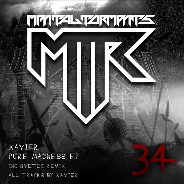 Pure Madness - SveTec Remix