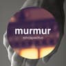 Murmur Retrospective cover