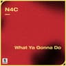 What Ya Gonna Do cover