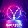 ProjetBassTrip cover