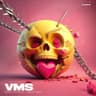 VMS cover