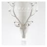 Schneeweiss Presented by Oliver Koletzki cover