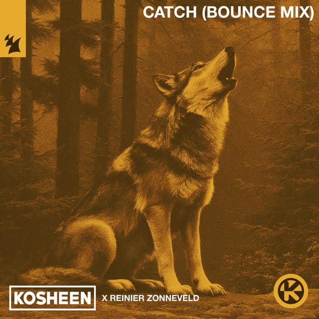 Cover Image of release - Catch (Bounce Mix)