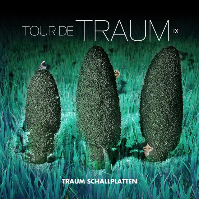 Cover Image of release - Tour De Traum IX Mixed by Riley Reinhold