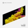 The Raver cover