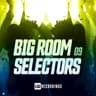 Big Room Selectors, 09 cover