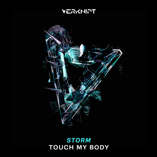 Touch My Body