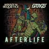 Afterlife cover