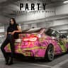 Party cover