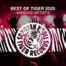 Best of Tiger 2020 cover