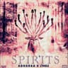 Spirits cover